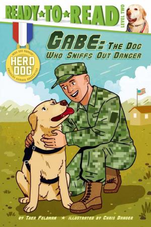 Cover of the book Gabe by Joan Holub
