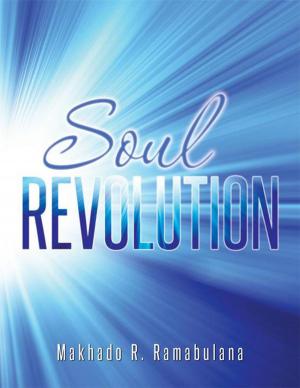 Cover of the book Soul Revolution by June Mokoka