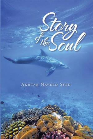 Cover of the book Story of the Soul by John Onu Odihi