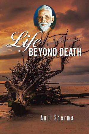 Book cover of Life Beyond Death