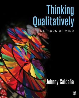 Book cover of Thinking Qualitatively