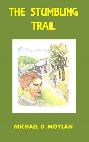 Cover of the book The Stumbling Trail by Jabulani A. Nzilane