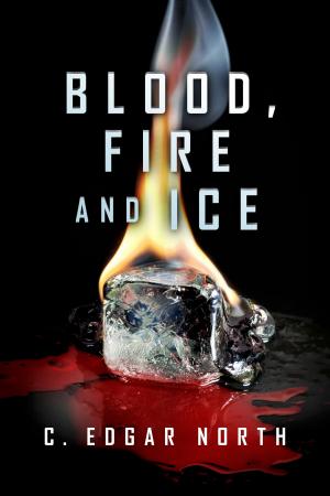 Cover of the book Blood, Fire and Ice by Jerome Ostrov