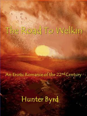 Cover of the book The Road To Welkin by Adrian D. Mullens