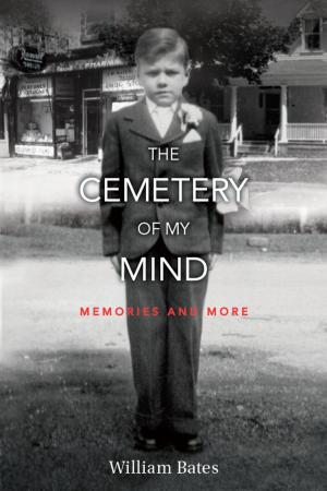 Cover of the book The Cemetery of My Mind by Frances Powell