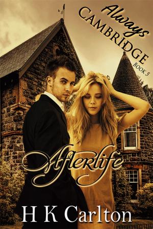 Cover of the book Afterlife by Viola Grace