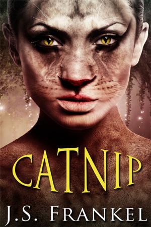 Book cover of Catnip