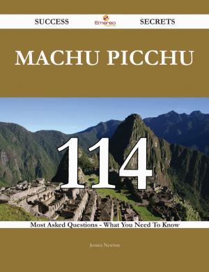 bigCover of the book Machu Picchu 114 Success Secrets - 114 Most Asked Questions On Machu Picchu - What You Need To Know by 