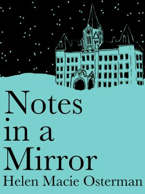 Book cover of Notes in a Mirror