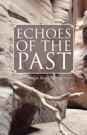 Cover of the book Echoes of the Past by Pastor Omojevwe Brown Emmanuel