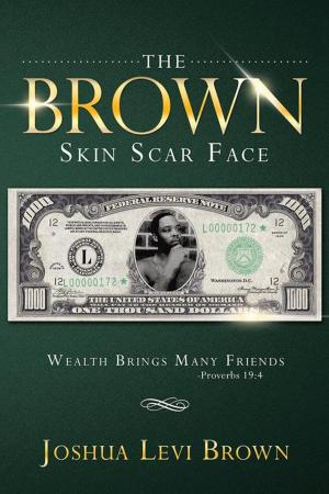 Cover of the book The Brown Skin Scar Face by J.S. Delaney