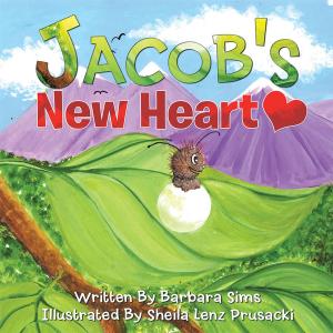 Cover of the book Jacob's New Heart by Brian Franks