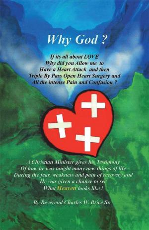 Cover of the book Why God? by Anthony Clark