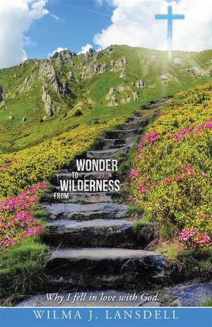 Cover of the book From Wilderness to Wonder by Matt Deisen