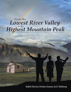 Cover of the book From the Lowest River Valley to the Highest Mountain Peak by Rena Ayyelina