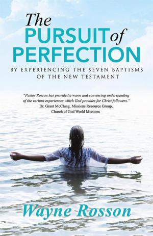 bigCover of the book The Pursuit of Perfection by 