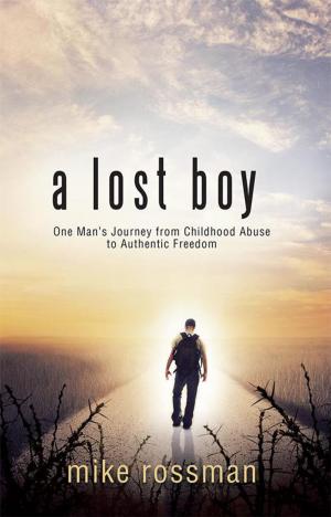 Cover of the book A Lost Boy by Godstime Okure