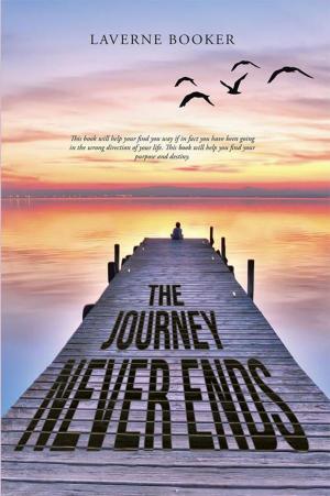 Cover of the book The Journey Never Ends by Reuben Lachmansingh