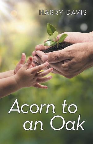 Cover of the book Acorn to an Oak by Mimmo Gasbarri