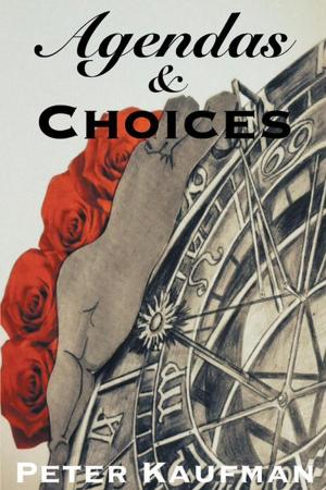 Cover of the book Agendas and Choices by Victoria Baye