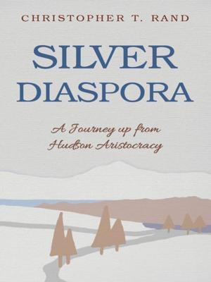 Cover of the book Silver Diaspora by Michael Maraviglia