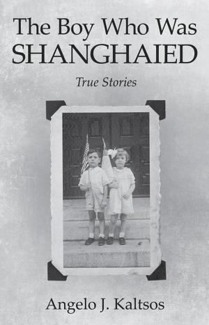 Cover of the book The Boy Who Was Shanghaied by Johnny Hughes