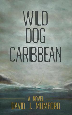 Cover of the book Wild Dog Caribbean by Anita Clay Kornfeld