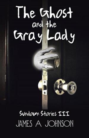 Book cover of The Ghost and the Gray Lady