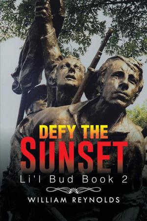 Cover of the book Defy the Sunset by Nancy M. Hyde