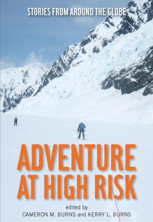 Cover of the book Adventure at High Risk by Alan Axelrod, author of 