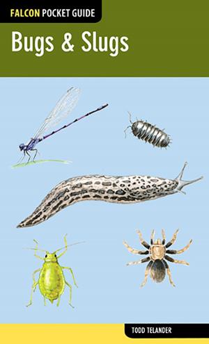 Book cover of Bugs & Slugs