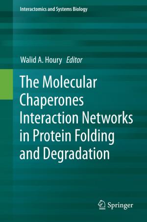 Cover of the book The Molecular Chaperones Interaction Networks in Protein Folding and Degradation by Nicola Bellomo, Giulia Ajmone Marsan, Andrea Tosin