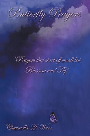Cover of the book Butterfly Prayers by Stephen Paul Tolmie