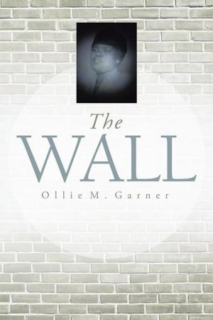 Cover of the book The Wall by Geoff Peterson