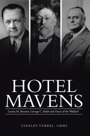 Cover of the book Hotel Mavens by Sherry Scott