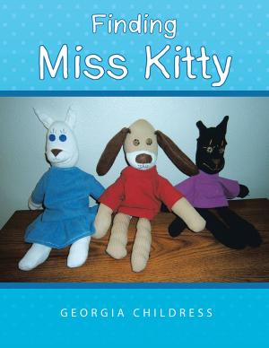 Cover of the book Finding Miss Kitty by Phebean Ajib? la Ogundip?