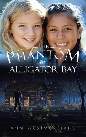 bigCover of the book The Phantom at Alligator Bay by 