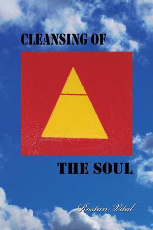 Cover of the book Cleansing of the Soul by Adric Ceneri