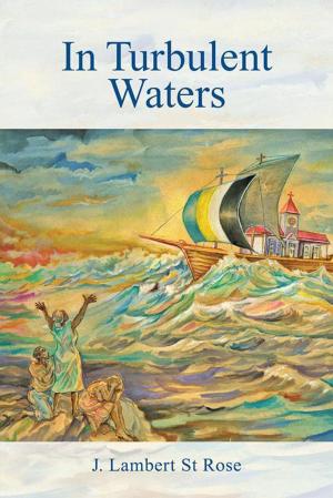 Cover of the book In Turbulent Waters by Gary Zarr