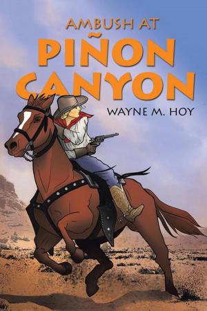 Book cover of Ambush at Piñon Canyon