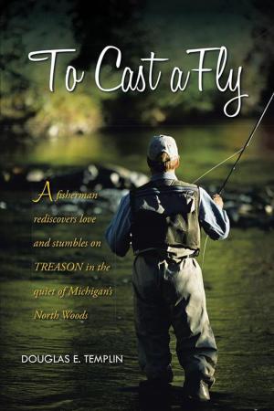 Cover of the book To Cast a Fly by NILSA LASSO - VON LANG
