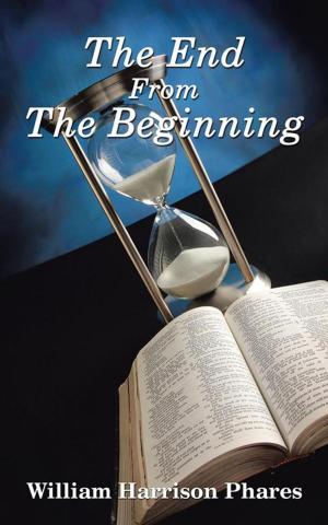 Cover of the book The End from the Beginning by Quenn E. Lacey