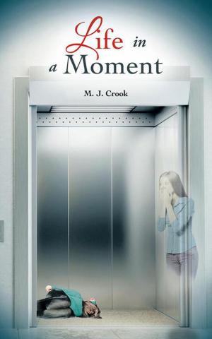 Cover of the book Life in a Moment by E.Wiseman Woomer Jr.