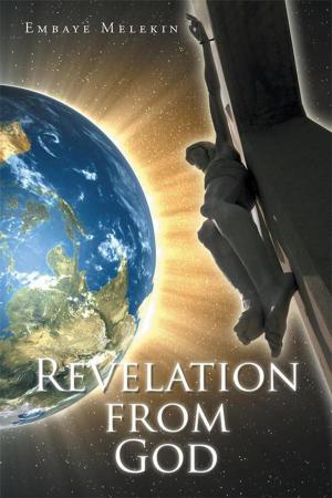 Cover of the book Revelation from God by Reva Spiro Luxenberg