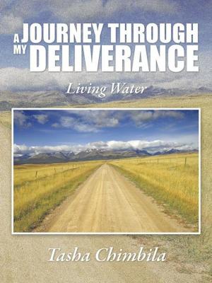 Cover of the book A Journey Through My Deliverance by Steven Swazo