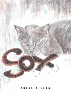 Cover of the book Sox by John J Phillips