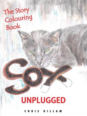 bigCover of the book Sox Unplugged by 