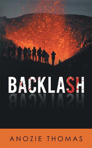 Cover of the book Backlash by N.D.Rabin