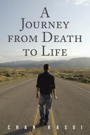Cover of the book A Journey from Death to Life by Karin Beck-Beggs