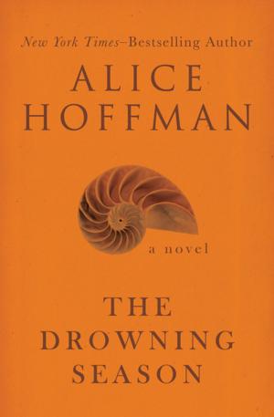 Book cover of The Drowning Season